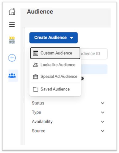 facebook audiences